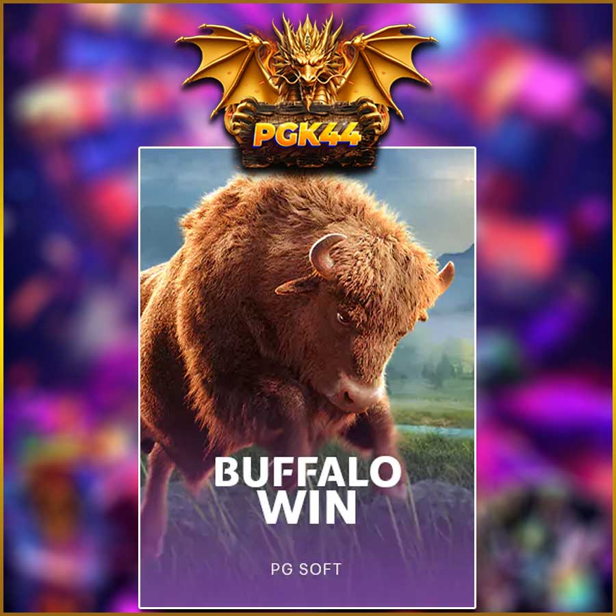 BUFFALO WIN